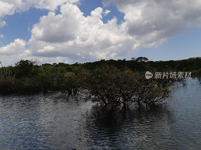 亚马逊地区- TAPAJOS - PARA